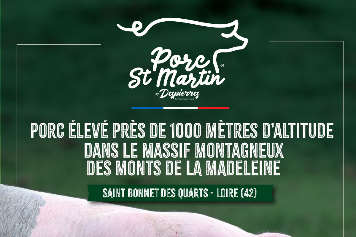 diapo-porc-saint-martin-3