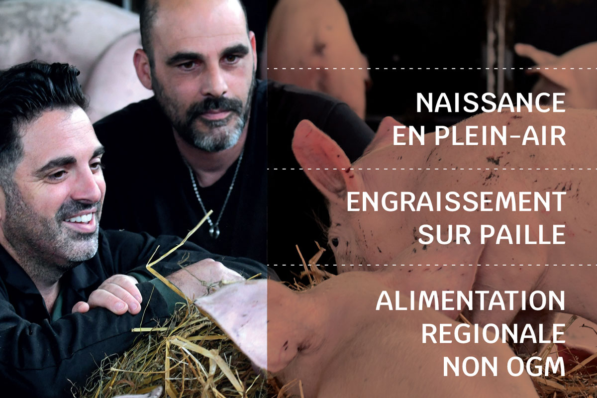 diapo-porc-saint-martin-4